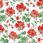 Geranium wallpaper featuring red geraniums on a white background.