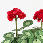 Close-up of a red paper geranium centerpiece featuring layered red blooms and decorative green paper leaves.