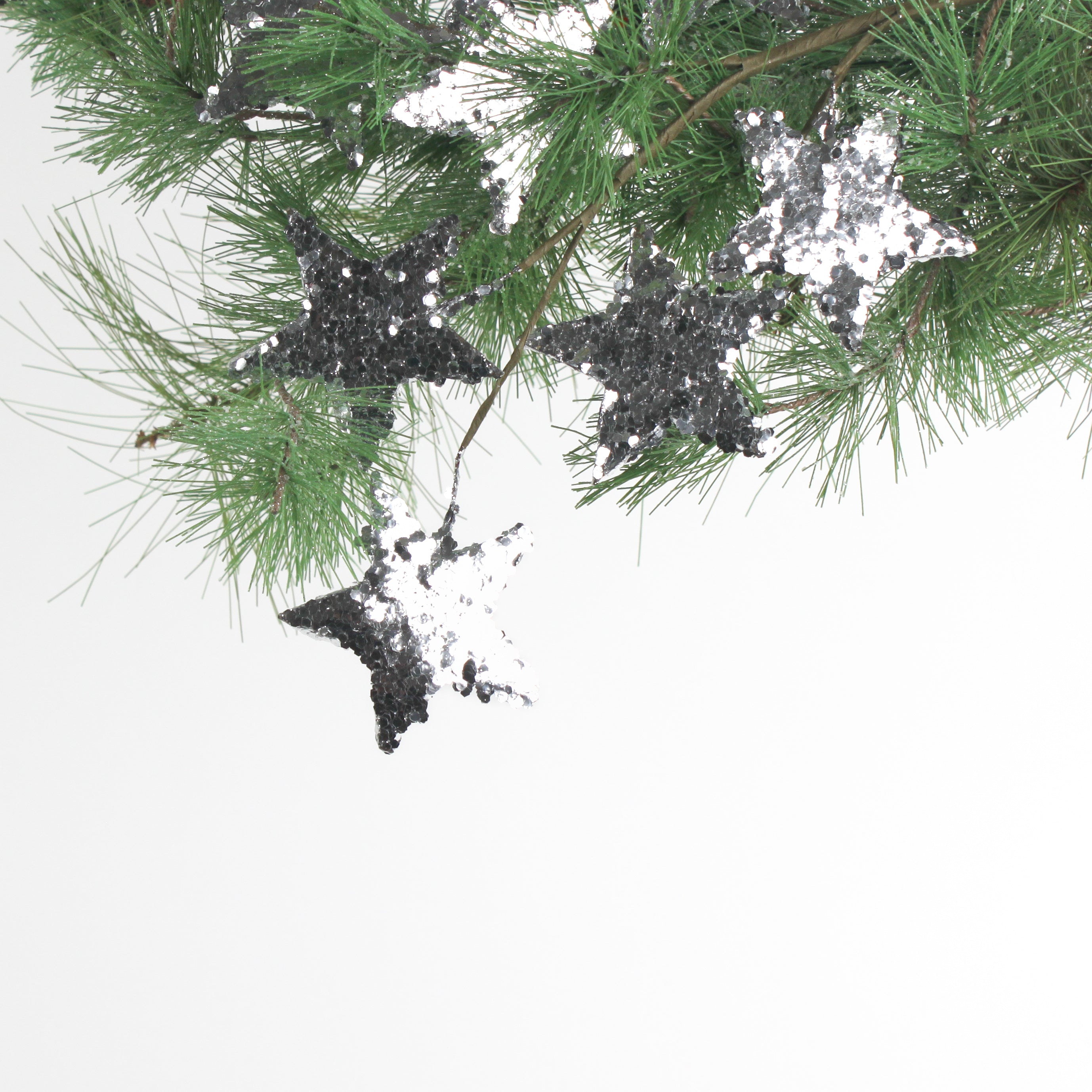Star-shaped black decorations on a green pine branch against a white background