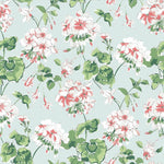 Geranium wallpaper featuring pink and white geraniums on a grey background.