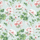 Geranium wallpaper featuring pink and white geraniums on a grey background.