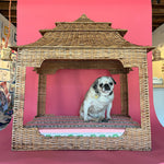 a white pug dog sitting on a rattan pagoda dog bed