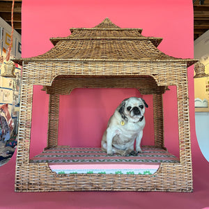 a white pug dog sitting on a rattan pagoda dog bed