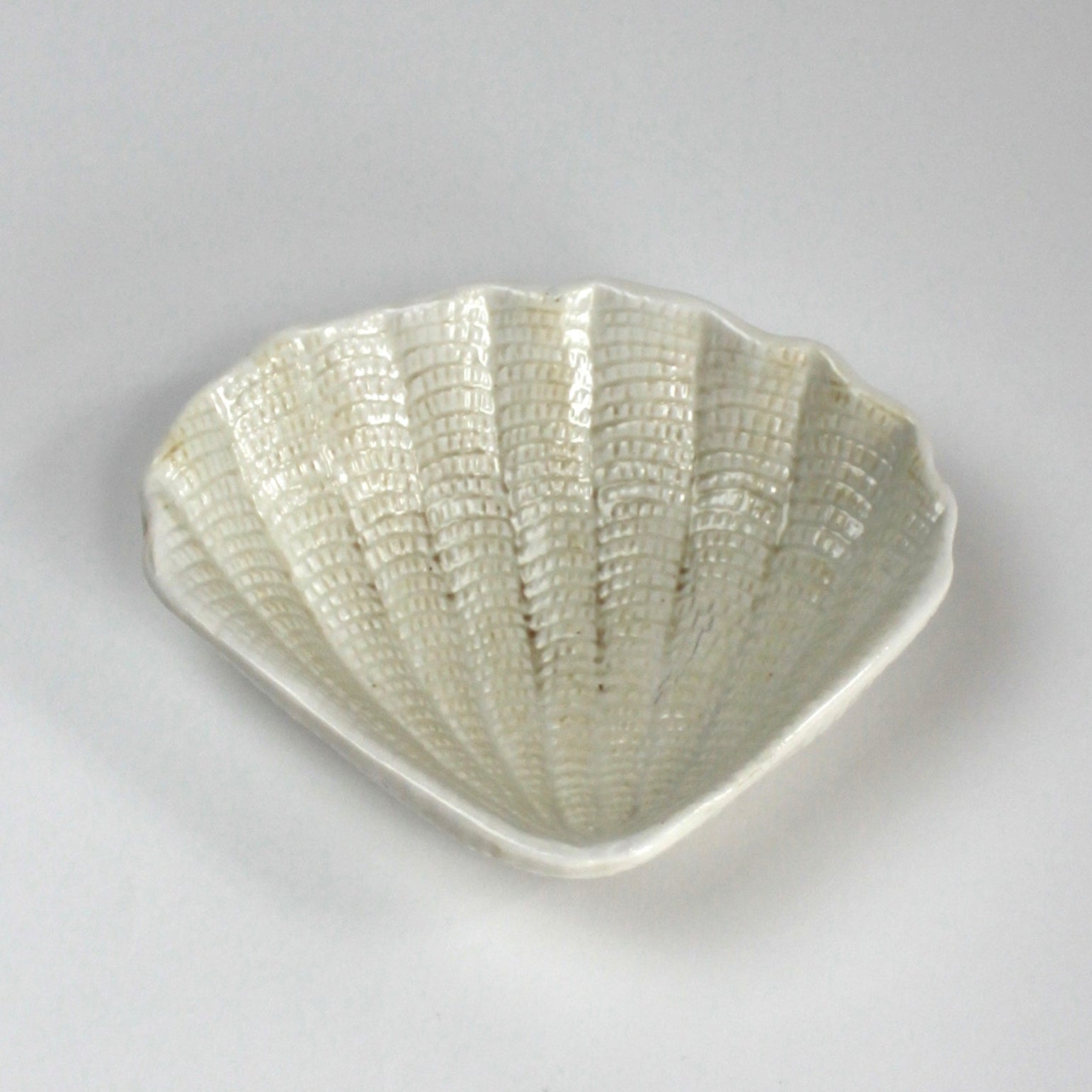 a white ceramic shell plate from madcap cottage