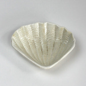 a white ceramic shell plate from madcap cottage