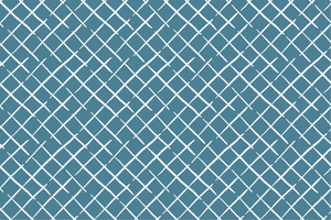 Blue and white fabric in the bahama court trellis pattern from madcap cottage featuring a white trellis on a blue background