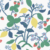 A strawberry wallpaper sample featuring colorful lemon and strawberry motifs on a white background.