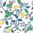 A strawberry wallpaper sample featuring colorful lemon and strawberry motifs on a white background. 