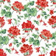 A geranium wallpaper sample featuring red geraniums on a white background.