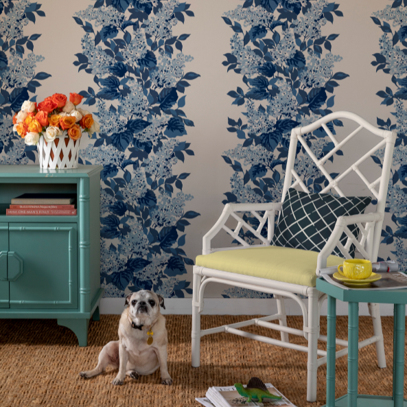 a chest, chair and pug dog in a room against a blue and whitewallpaper featuring a leafy hydrangea motif. 