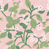 Strawberry wallpaper samples featuring lemon and strawberry motifs against a pink background.